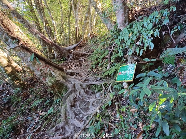 【南投信義】陡上陡下無冷場叫大山的都不好惹。 No91百岳~