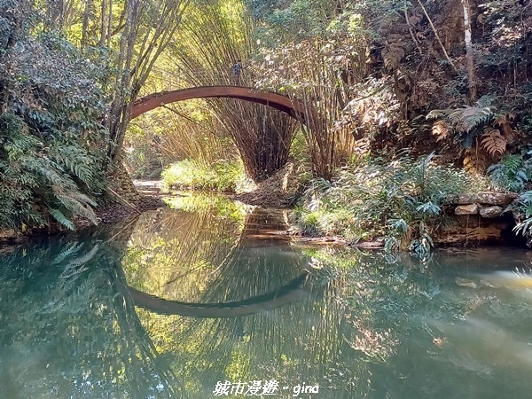 【南投魚池】澀水森林步道x山豬衝吧咖啡館~