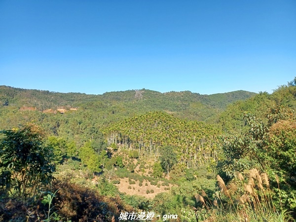 【南投魚池】澀水森林步道x山豬衝吧咖啡館~