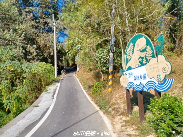 【南投魚池】澀水森林步道x山豬衝吧咖啡館~