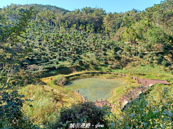 【南投魚池】澀水森林步道x山豬衝吧咖啡館~