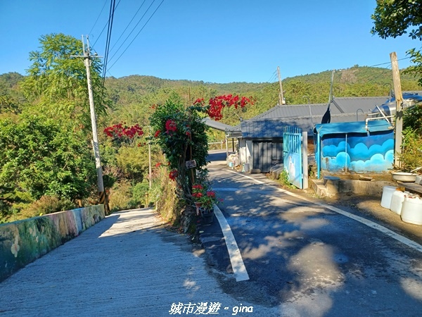 【南投魚池】澀水森林步道x山豬衝吧咖啡館~