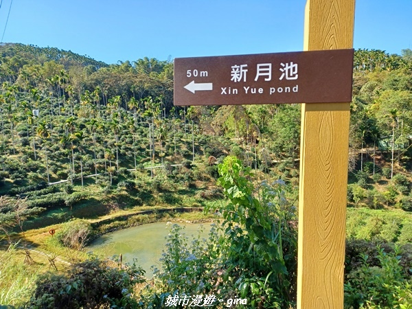 【南投魚池】澀水森林步道x山豬衝吧咖啡館~