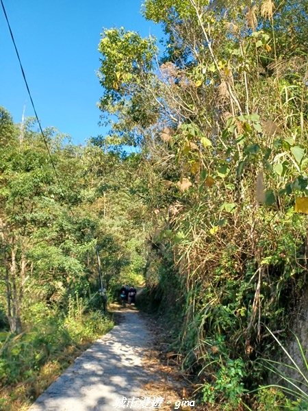 【南投魚池】澀水森林步道x山豬衝吧咖啡館~