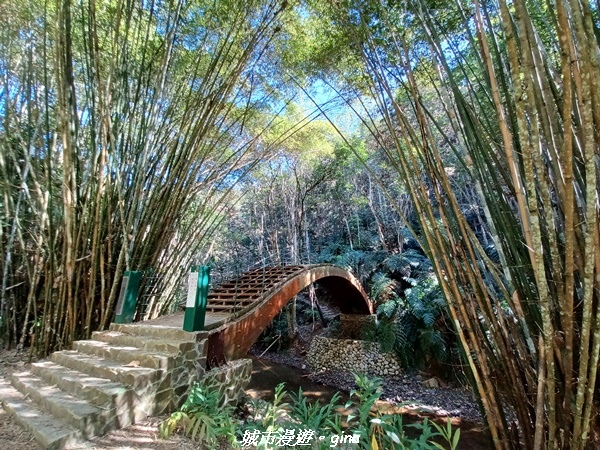 【南投魚池】澀水森林步道x山豬衝吧咖啡館~