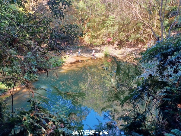 【南投魚池】澀水森林步道x山豬衝吧咖啡館~