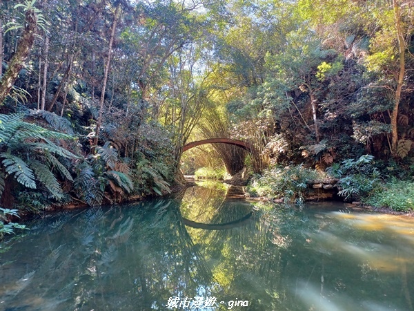 【南投魚池】澀水森林步道x山豬衝吧咖啡館~