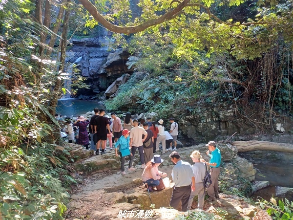 【南投魚池】澀水森林步道x山豬衝吧咖啡館~