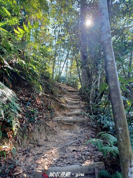 【南投魚池】澀水森林步道x山豬衝吧咖啡館~