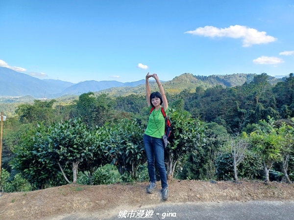 【南投魚池】澀水森林步道x山豬衝吧咖啡館~