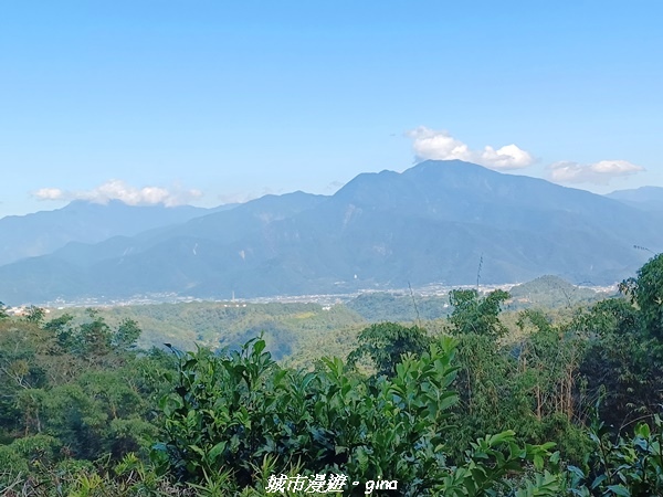 【南投魚池】澀水森林步道x山豬衝吧咖啡館~