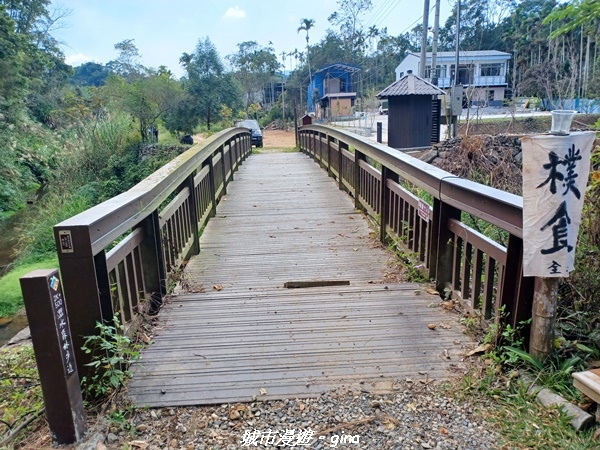 【南投魚池】澀水森林步道x山豬衝吧咖啡館~