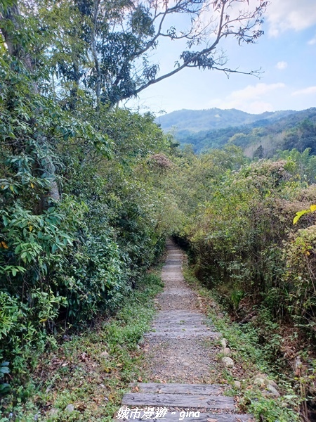 【南投魚池】澀水森林步道x山豬衝吧咖啡館~