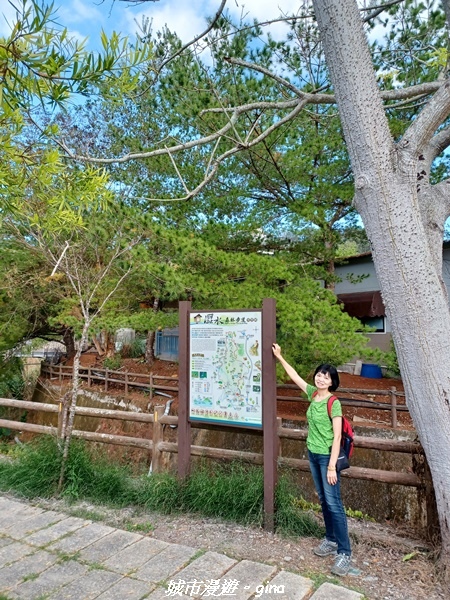 【南投魚池】澀水森林步道x山豬衝吧咖啡館~