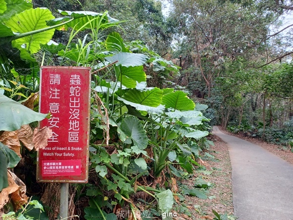 【2023.12.23】跟著我去旅行~彰化社頭~台灣百大必訪