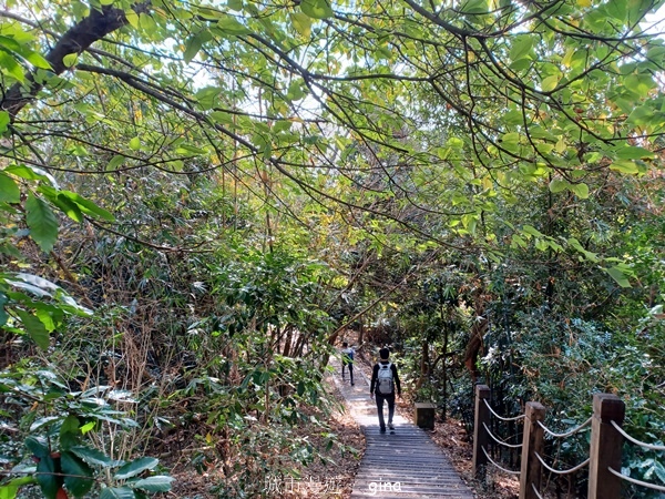 【台中潭子】NO40小百岳~聚興山~