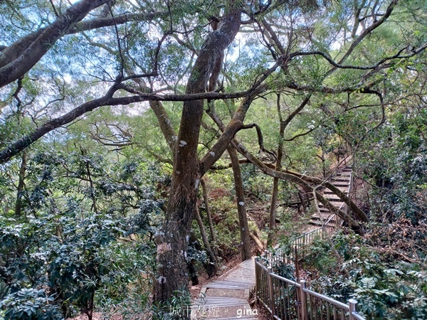 【台中潭子】NO40小百岳~聚興山~