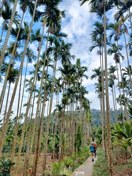 【雲林華山】 翠綠茶園太迷人走到廢腿也甘心_雲嘉五連峰