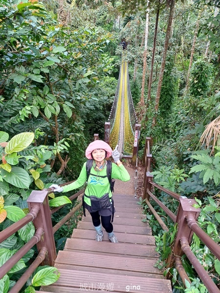 【雲林華山】 翠綠茶園太迷人走到廢腿也甘心_雲嘉五連峰