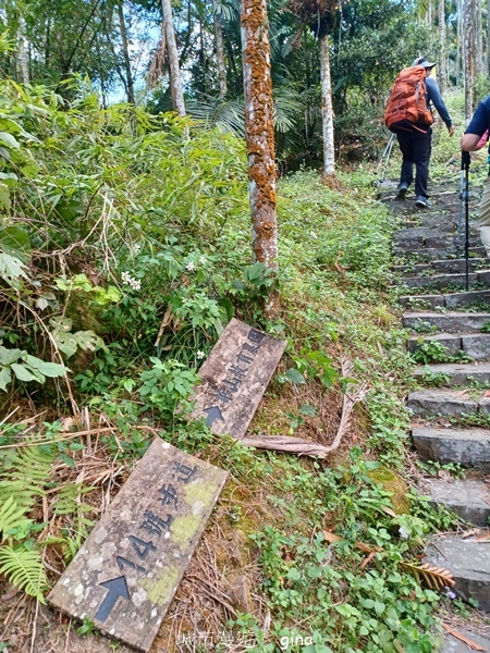 【雲林華山】 翠綠茶園太迷人走到廢腿也甘心_雲嘉五連峰