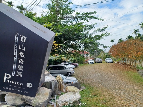 【雲林華山】 翠綠茶園太迷人走到廢腿也甘心_雲嘉五連峰