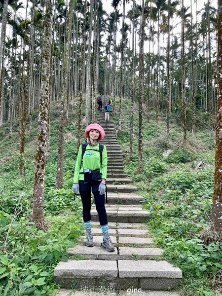 【雲林華山】 翠綠茶園太迷人走到廢腿也甘心_雲嘉五連峰