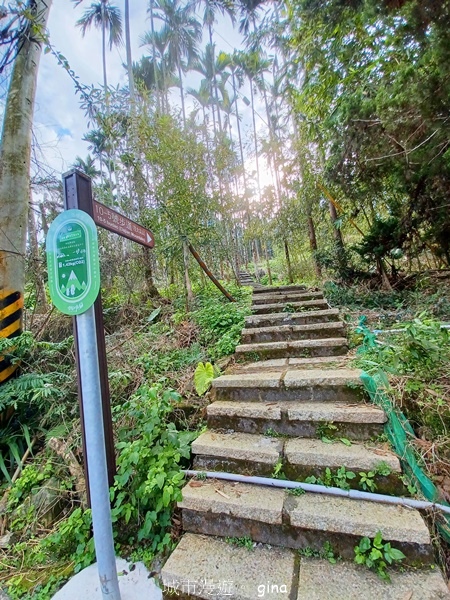 【雲林華山】 翠綠茶園太迷人走到廢腿也甘心_雲嘉五連峰