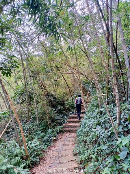 【雲林華山】 翠綠茶園太迷人走到廢腿也甘心_雲嘉五連峰