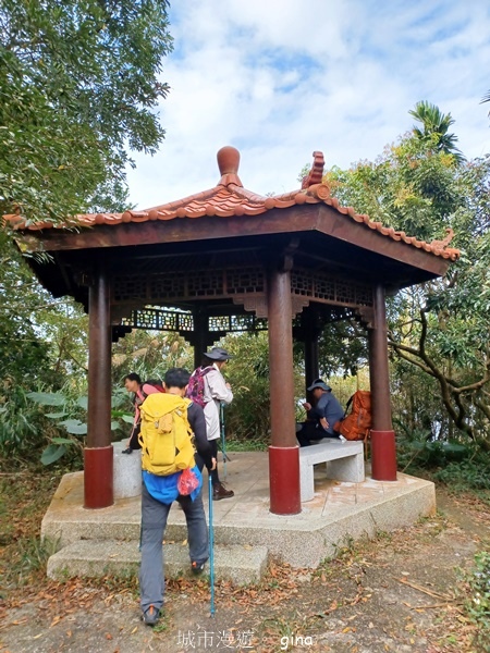 【雲林華山】 翠綠茶園太迷人走到廢腿也甘心_雲嘉五連峰