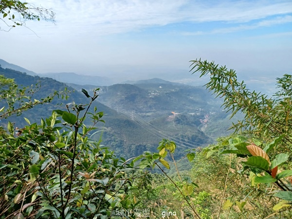 【雲林華山】 翠綠茶園太迷人走到廢腿也甘心_雲嘉五連峰