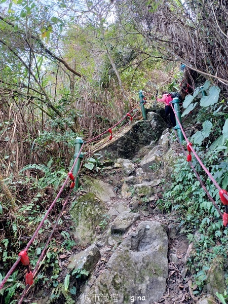 【雲林華山】 翠綠茶園太迷人走到廢腿也甘心_雲嘉五連峰