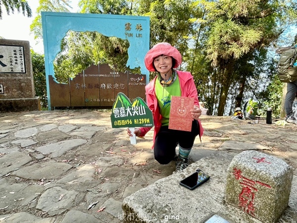 【雲林華山】 翠綠茶園太迷人走到廢腿也甘心_雲嘉五連峰