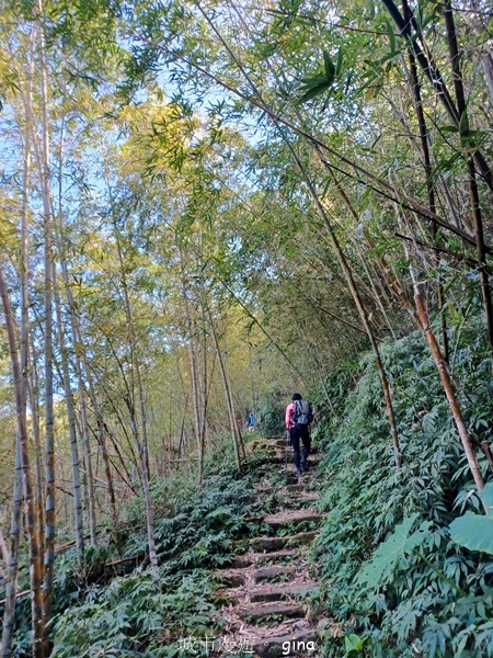 【雲林華山】 翠綠茶園太迷人走到廢腿也甘心_雲嘉五連峰