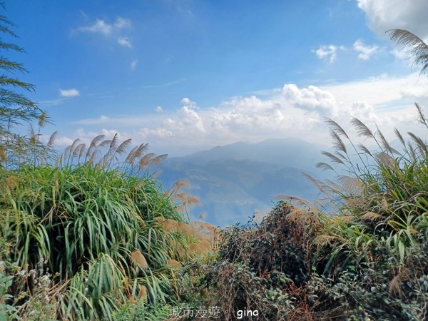 【雲林華山】 翠綠茶園太迷人走到廢腿也甘心_雲嘉五連峰