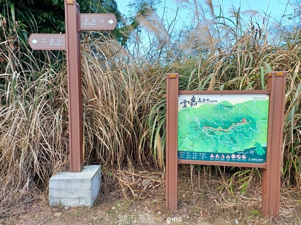 【雲林華山】 翠綠茶園太迷人走到廢腿也甘心_雲嘉五連峰