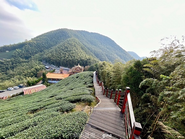 【雲林華山】 翠綠茶園太迷人走到廢腿也甘心_雲嘉五連峰