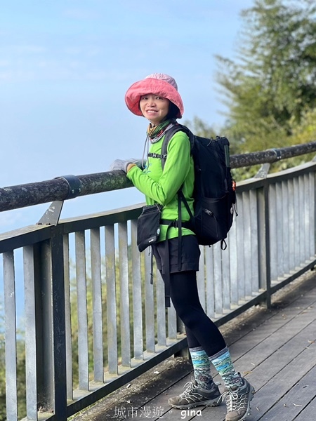 【雲林華山】 翠綠茶園太迷人走到廢腿也甘心_雲嘉五連峰