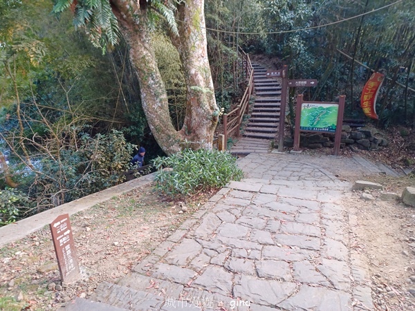 【雲林華山】 翠綠茶園太迷人走到廢腿也甘心_雲嘉五連峰