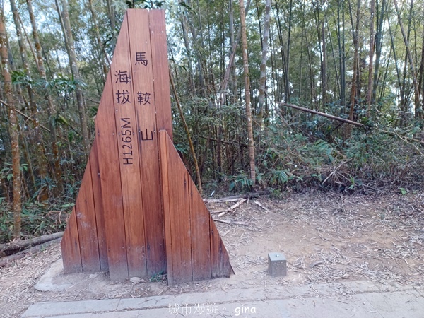 【雲林華山】 翠綠茶園太迷人走到廢腿也甘心_雲嘉五連峰