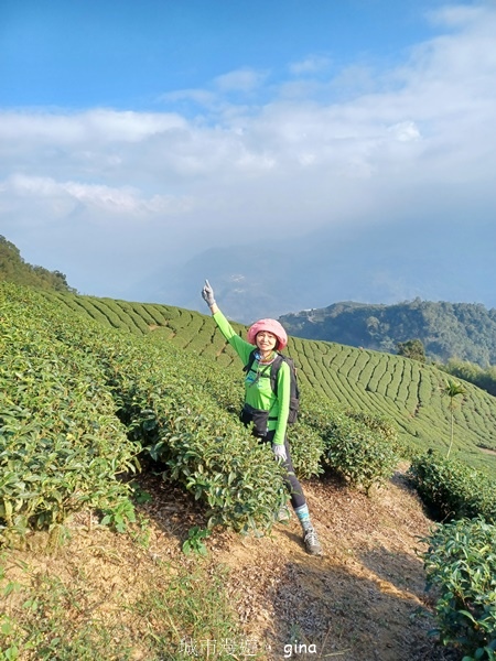 【雲林華山】 翠綠茶園太迷人走到廢腿也甘心_雲嘉五連峰