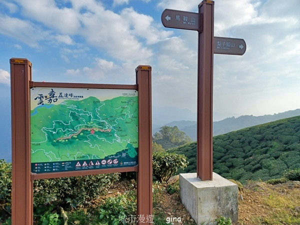 【雲林華山】 翠綠茶園太迷人走到廢腿也甘心_雲嘉五連峰