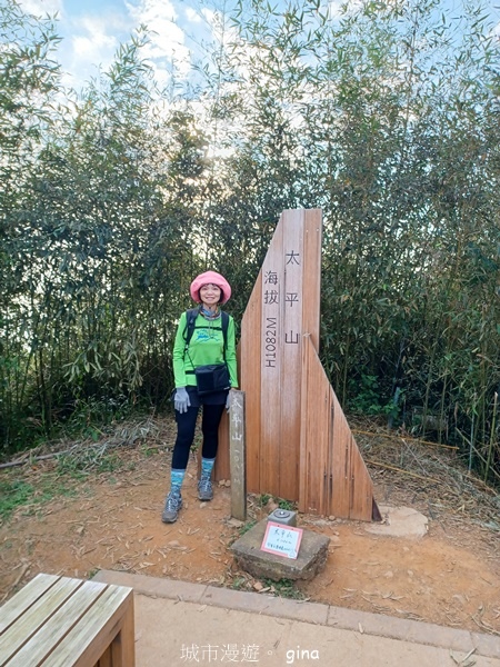 【雲林華山】 翠綠茶園太迷人走到廢腿也甘心_雲嘉五連峰