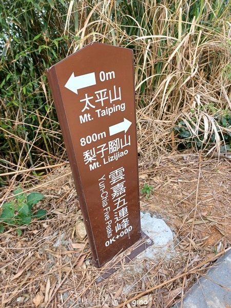 【雲林華山】 翠綠茶園太迷人走到廢腿也甘心_雲嘉五連峰