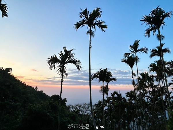 【雲林華山】 翠綠茶園太迷人走到廢腿也甘心_雲嘉五連峰