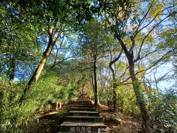 【新北汐止】歷史古剎古意盎然。 拱北殿後山步道