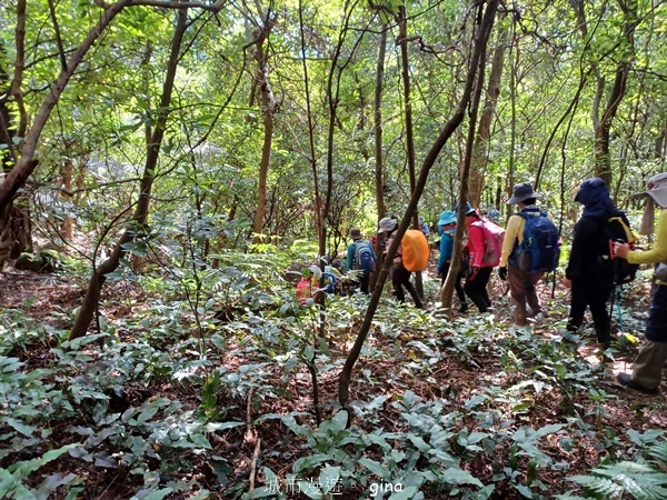 【基隆七堵】跟著我去旅行~瑪陵尖五連峰O型縱走