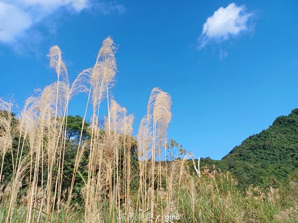 【基隆七堵】跟著我去旅行~瑪陵尖五連峰O型縱走