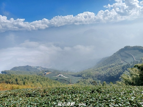 【嘉義梅山】NEUTRAL 防潑水皮革拼接氣墊鞋~悠閒踏青趣 【嘉義梅山】NEUTRAL 防潑水皮革拼接氣墊鞋~悠閒踏青趣