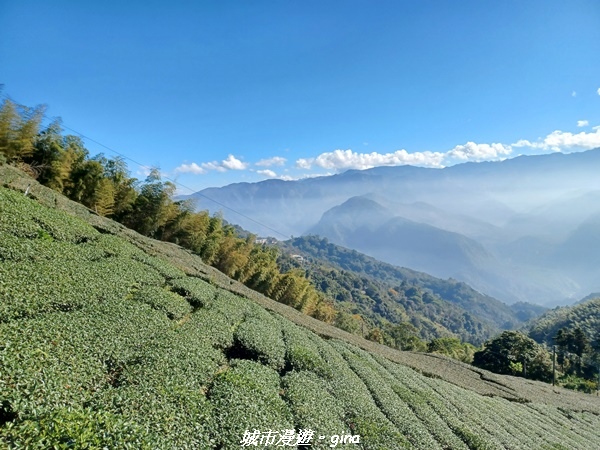 【嘉義梅山】NEUTRAL 防潑水皮革拼接氣墊鞋~悠閒踏青趣