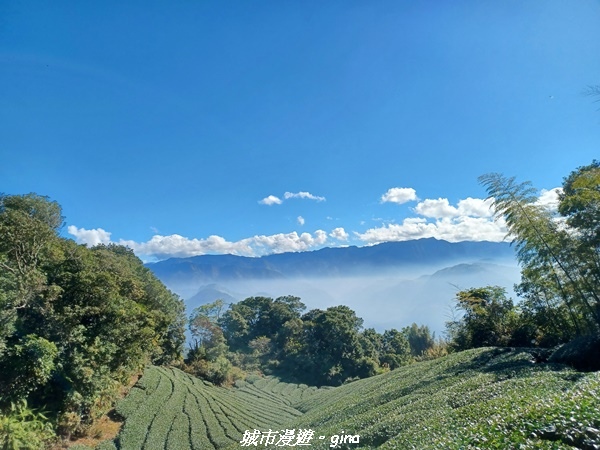 【嘉義梅山】NEUTRAL 防潑水皮革拼接氣墊鞋~悠閒踏青趣